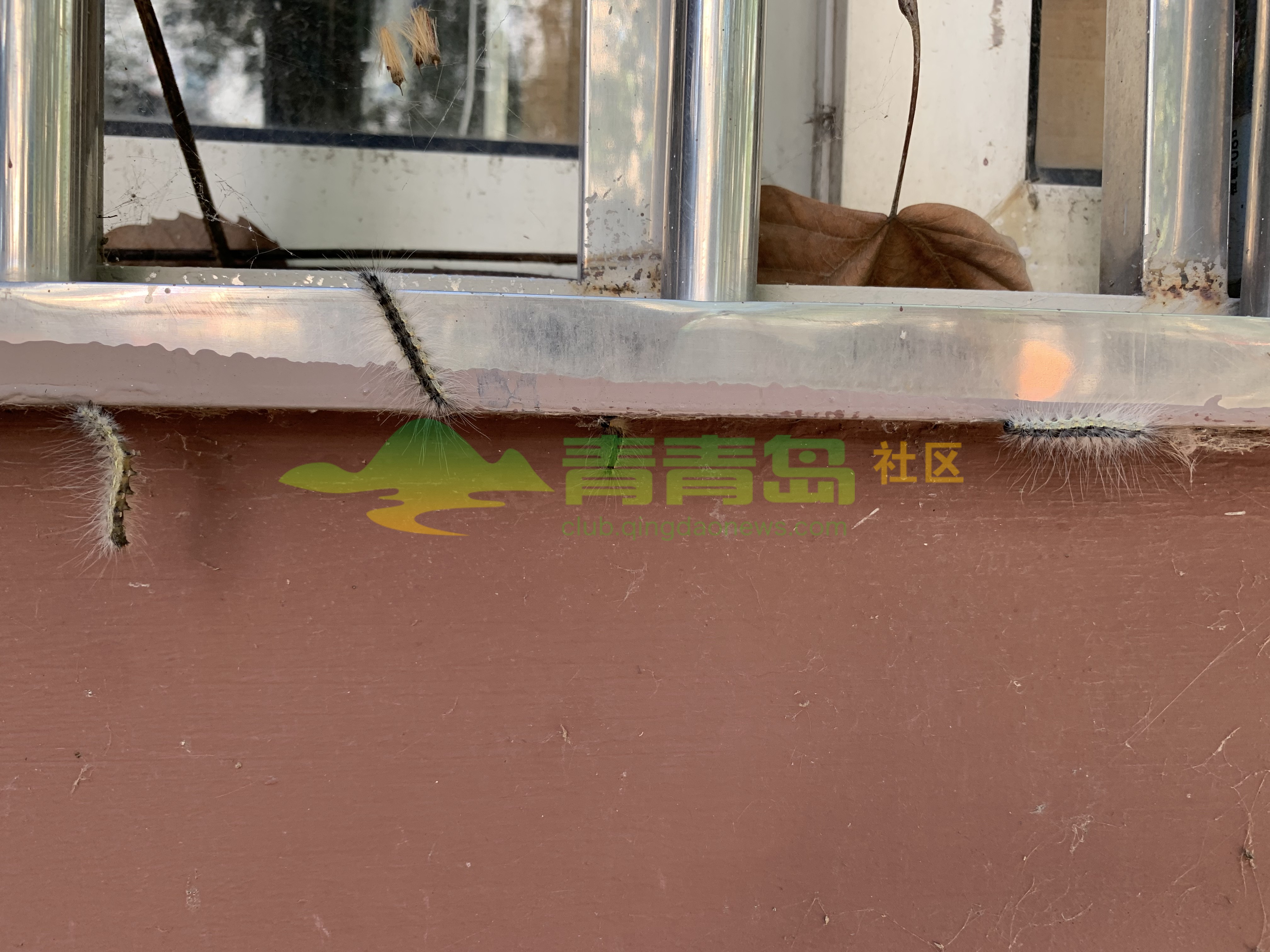 1775345957