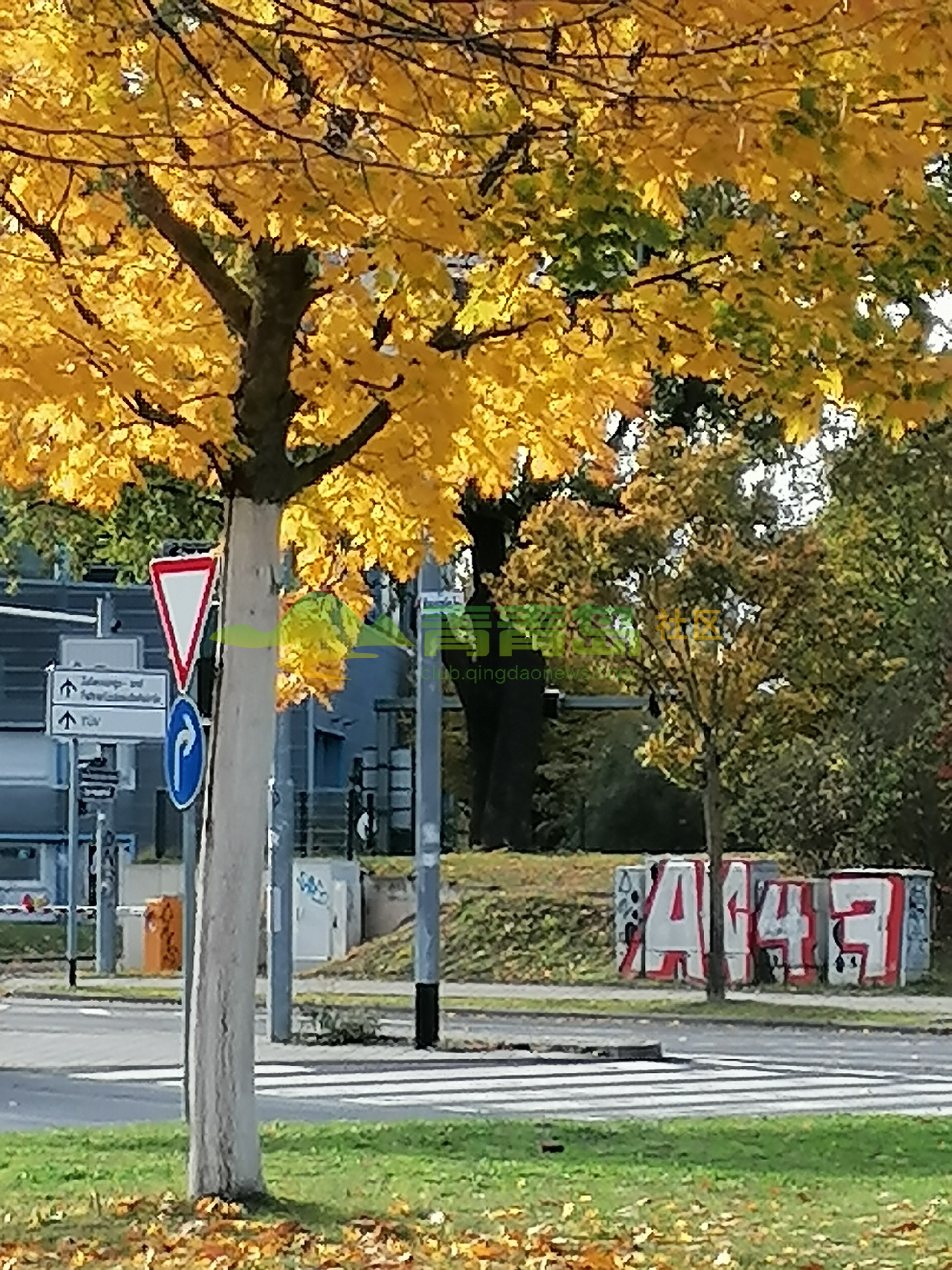 1752882296