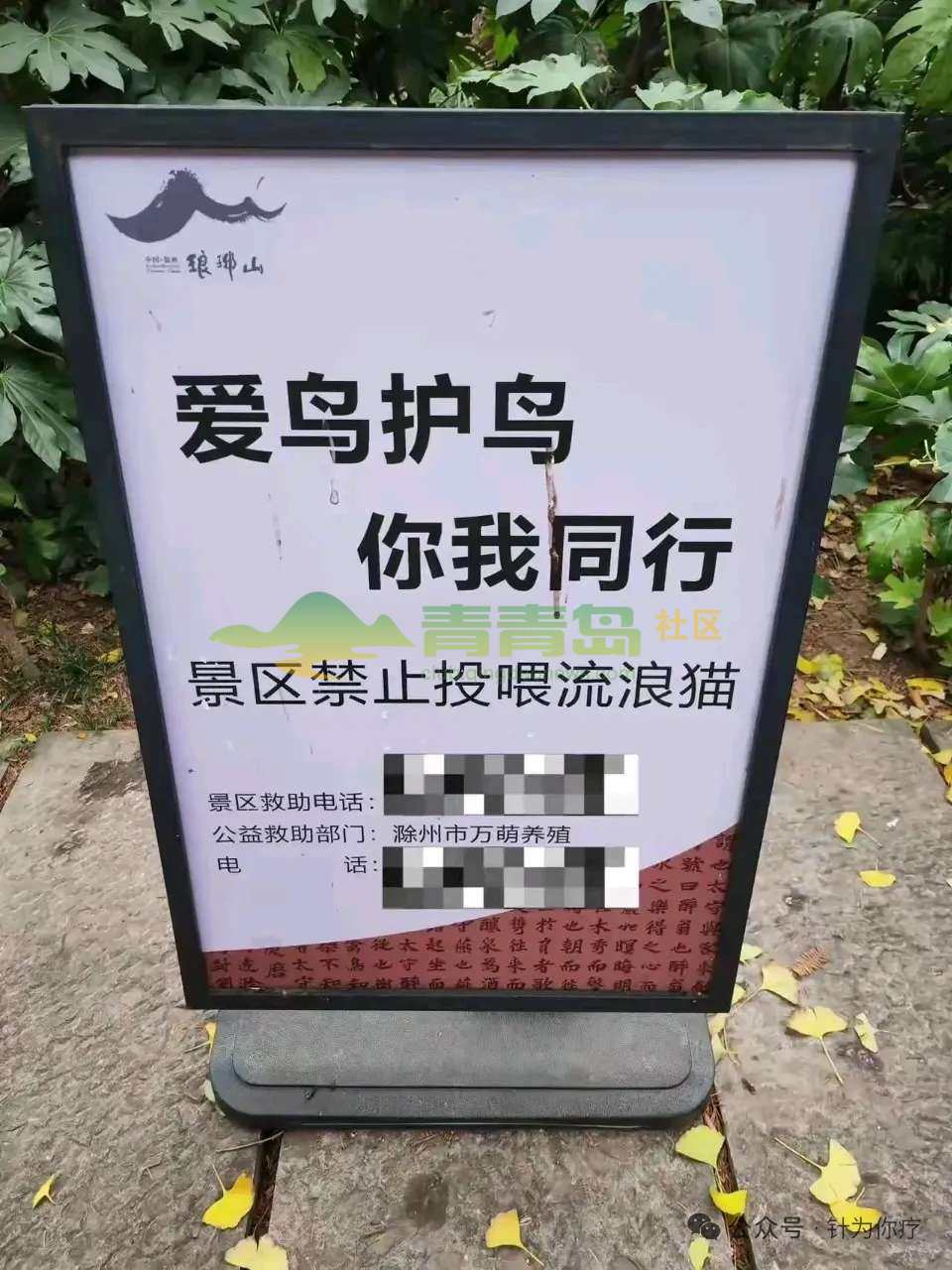 1770693297