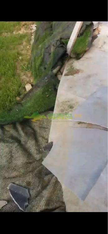 1752821501