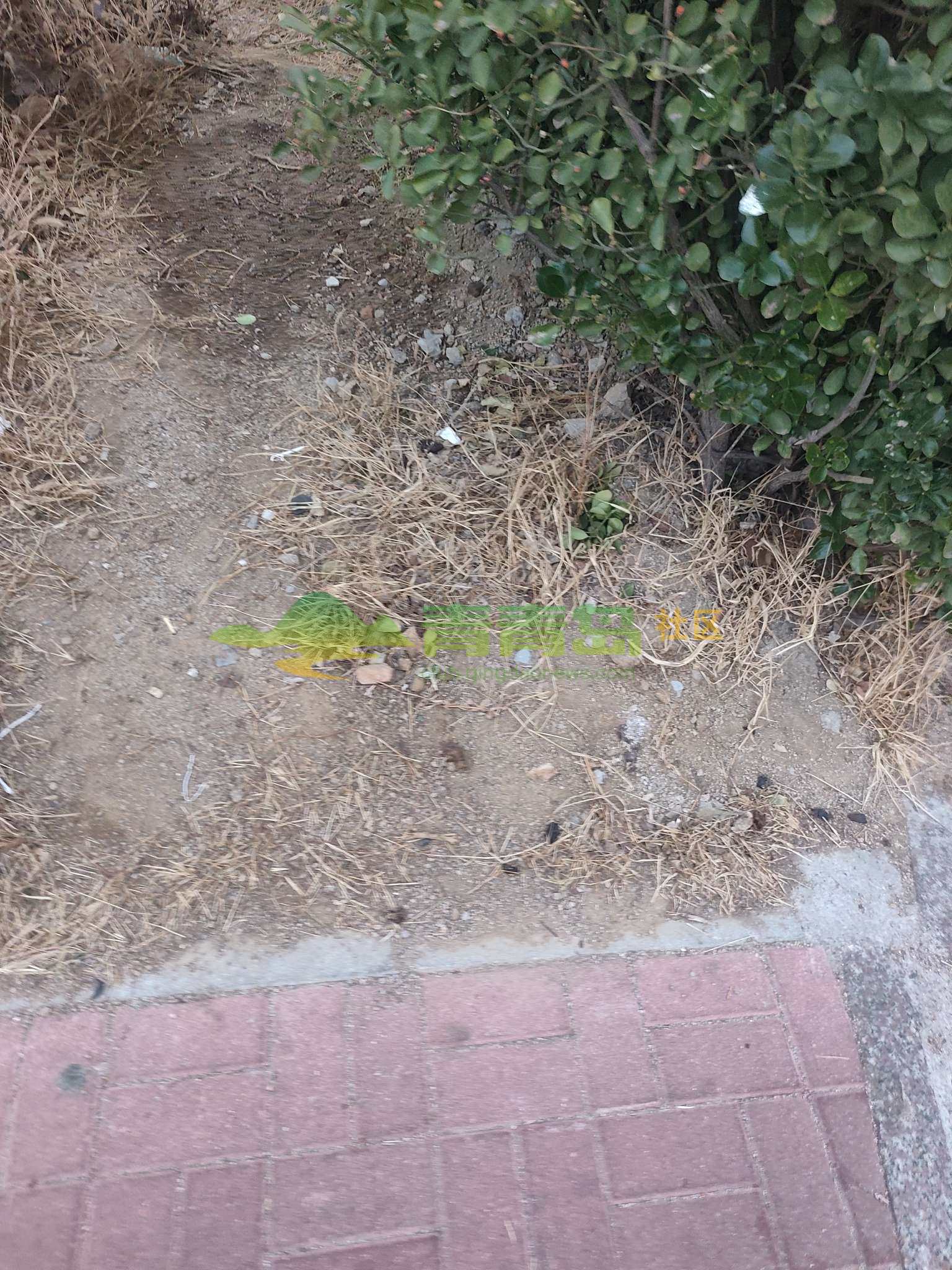 1770136891