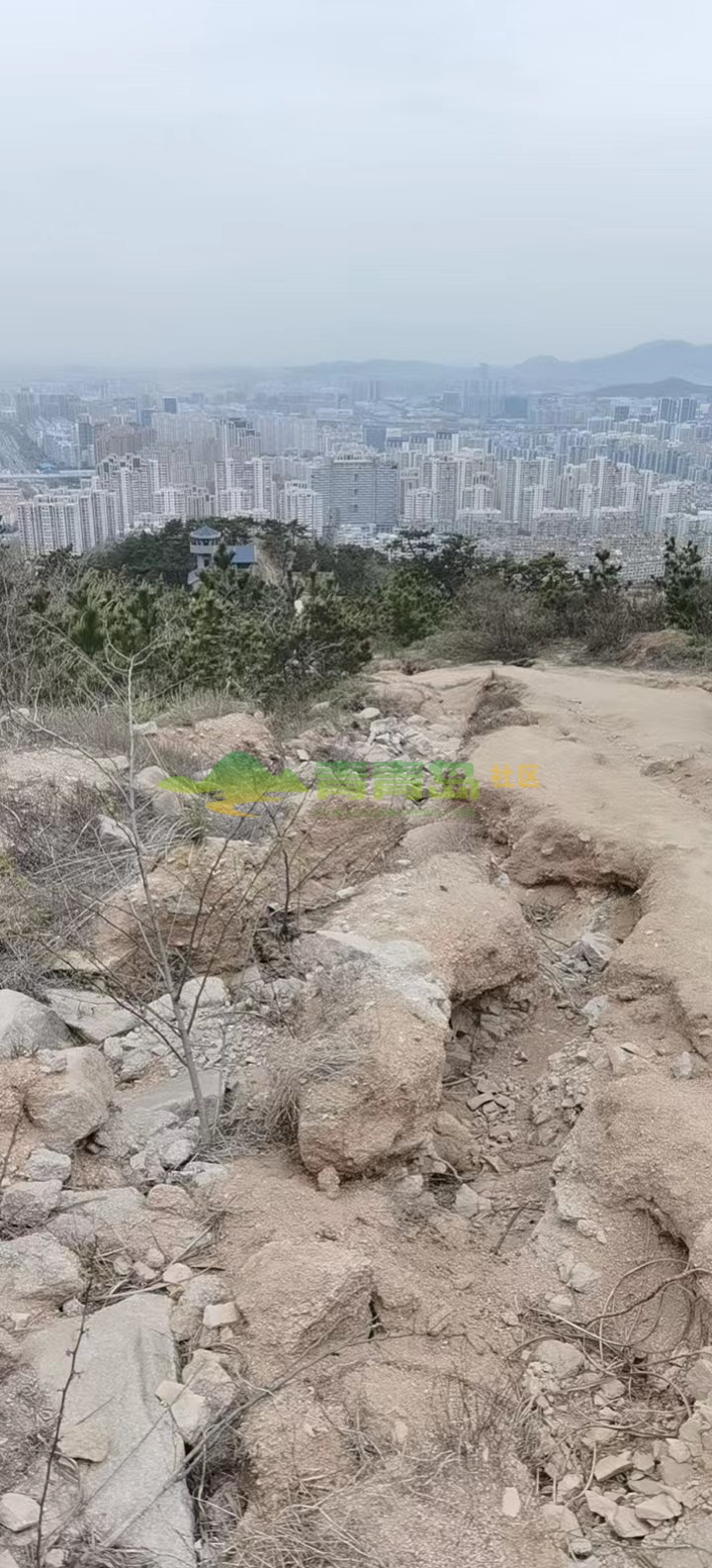 1768194982
