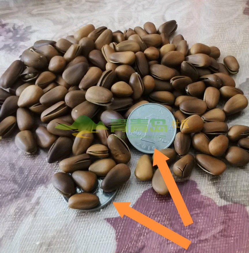 1752846033