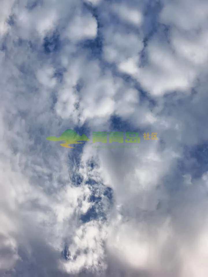 1790227255