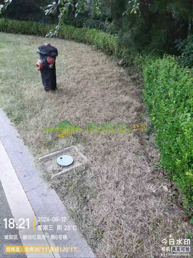 1787544581