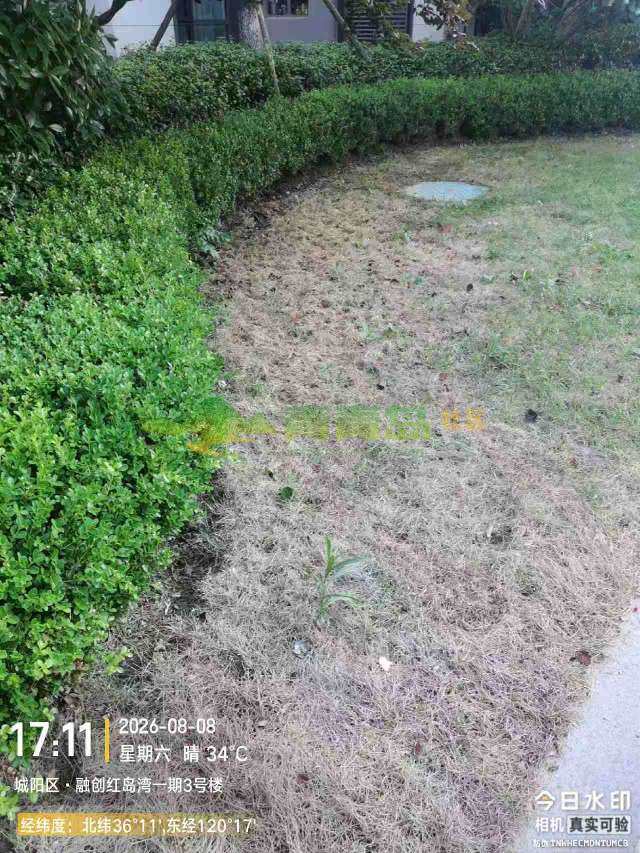 1787725641