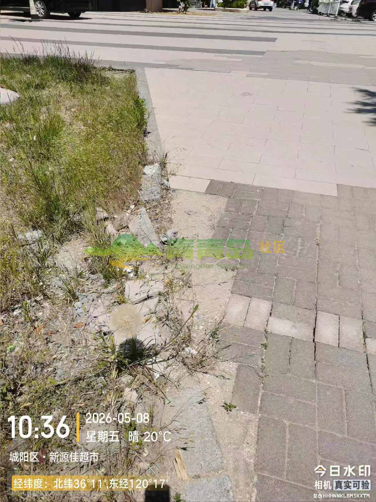 1781500816