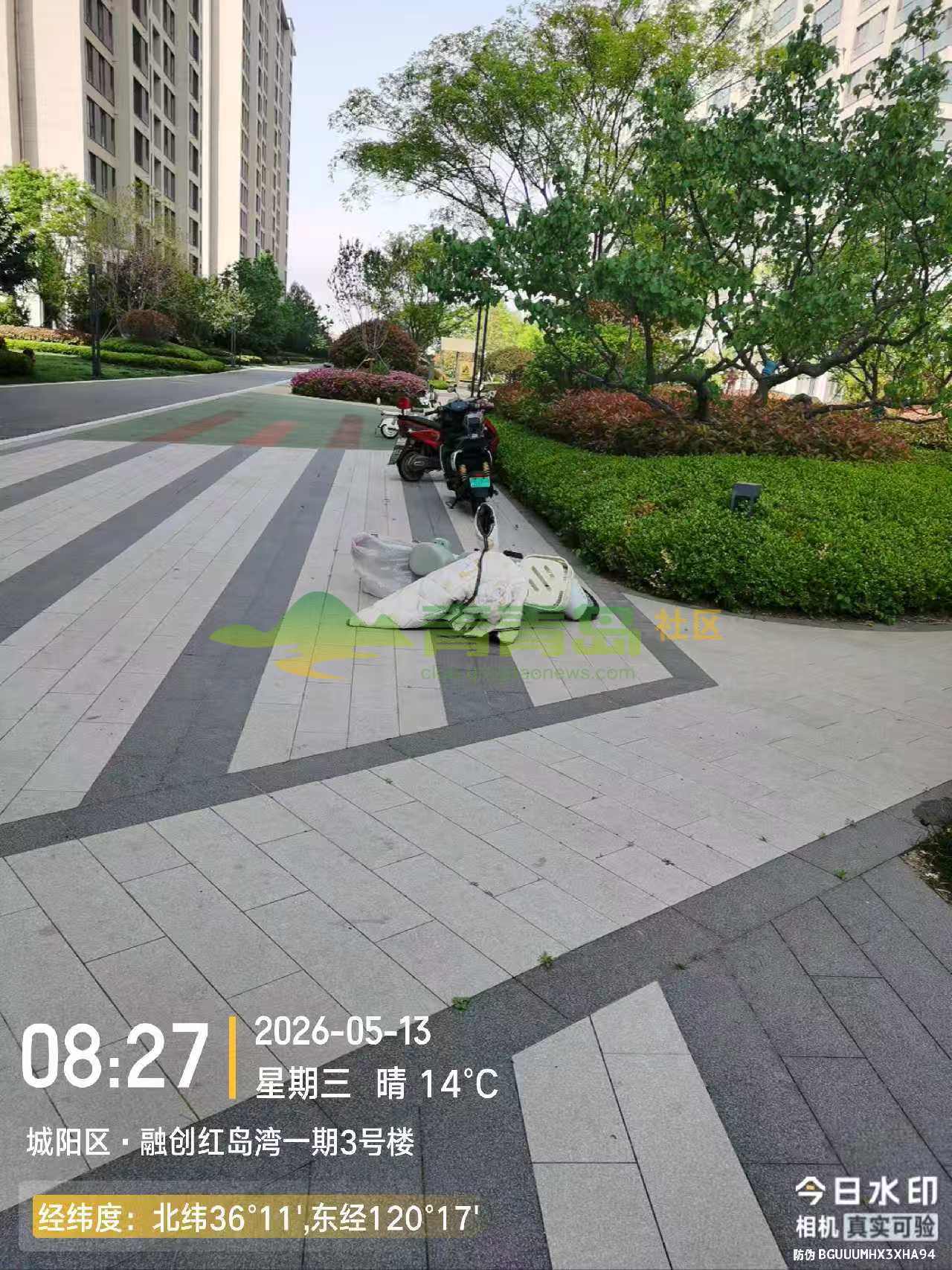 1780524789