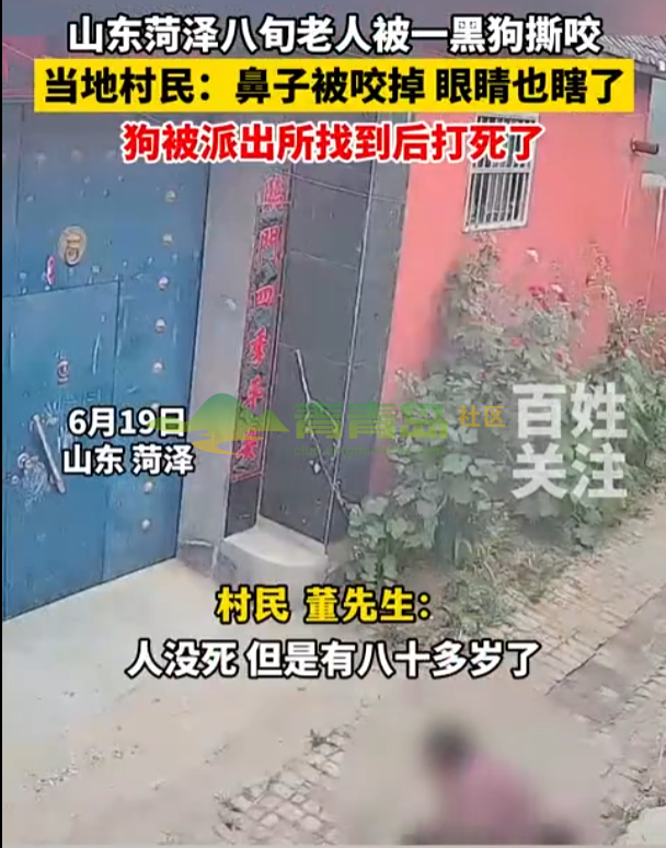 1775303058