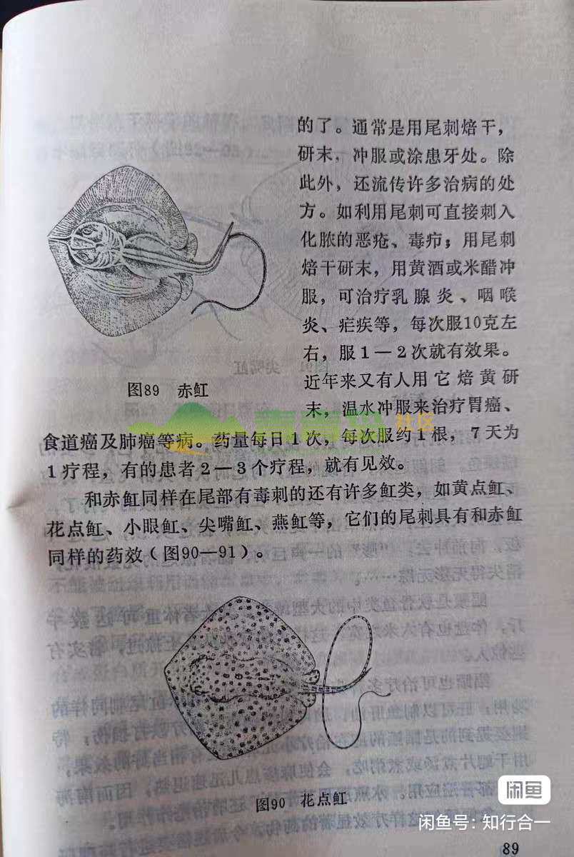 1774901564