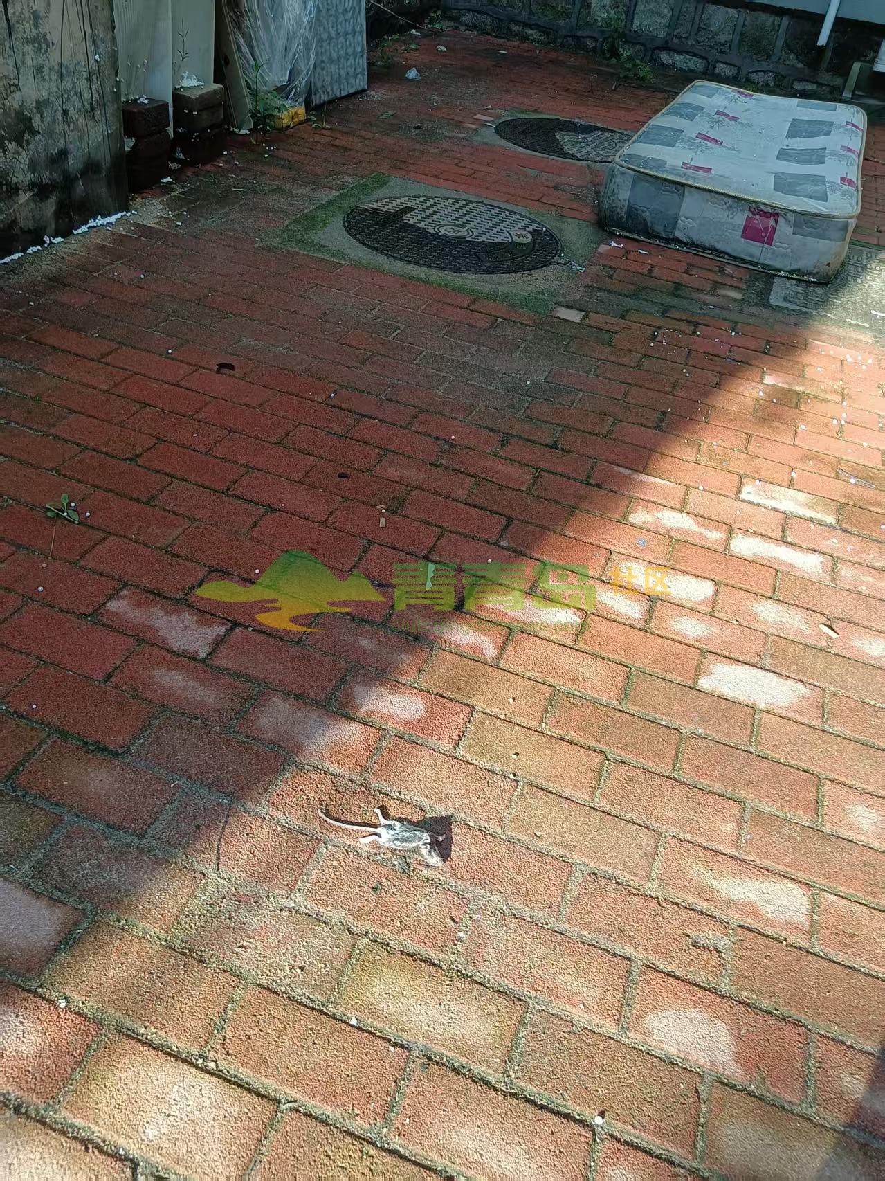 1784414870