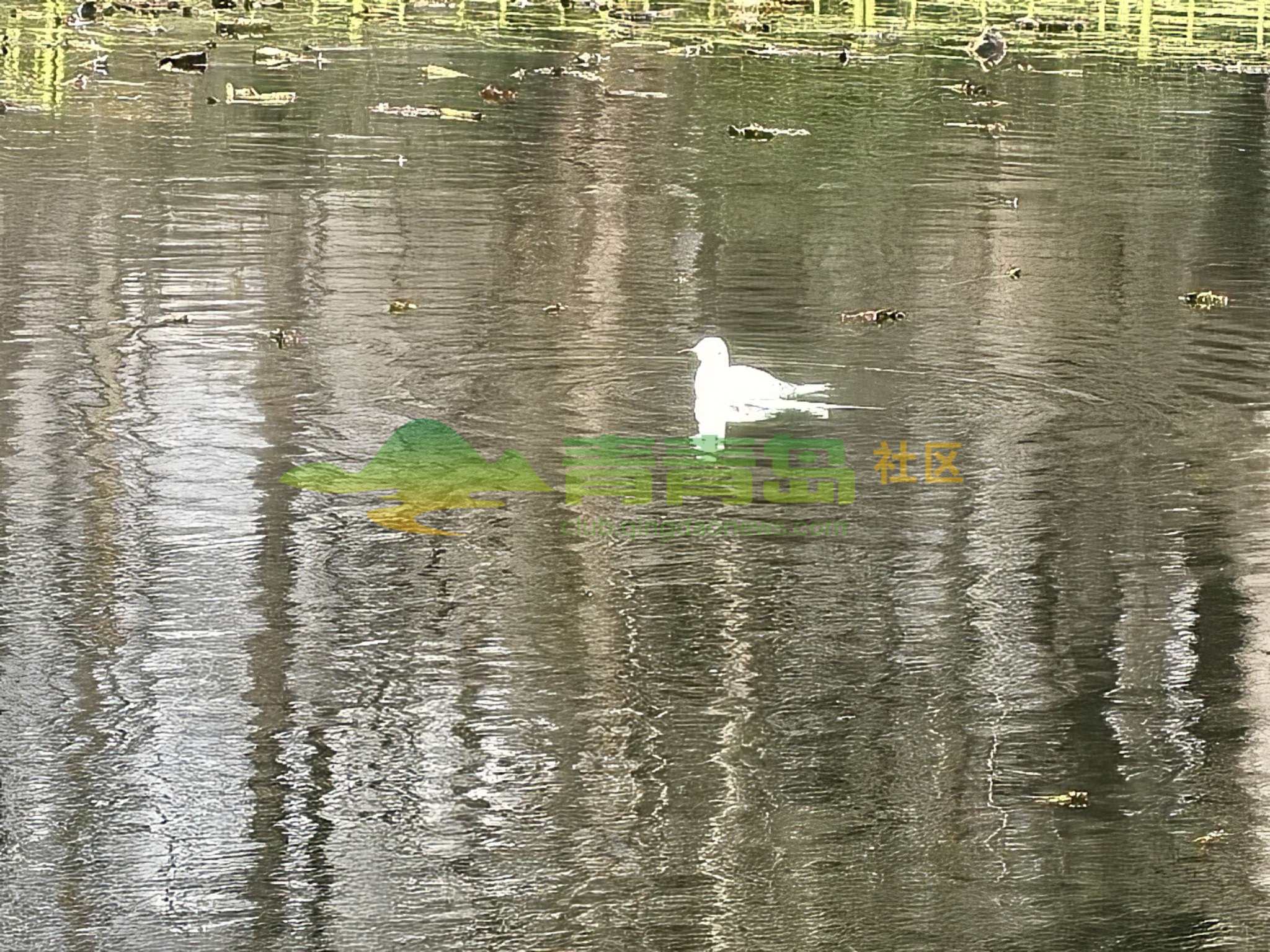1773564444
