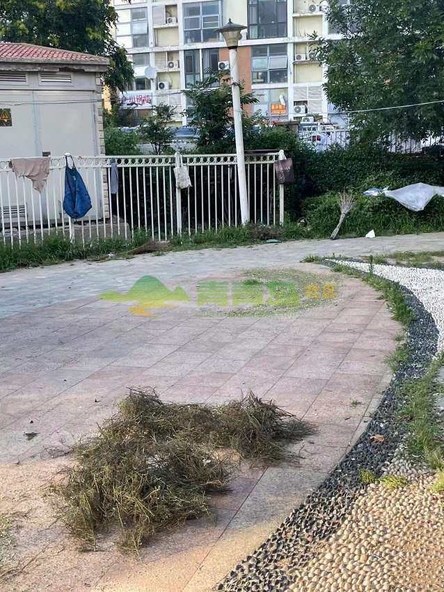 1752793304