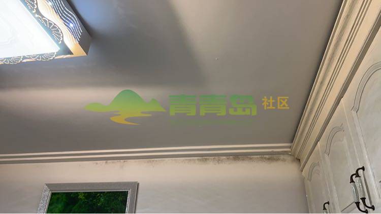 1775224268