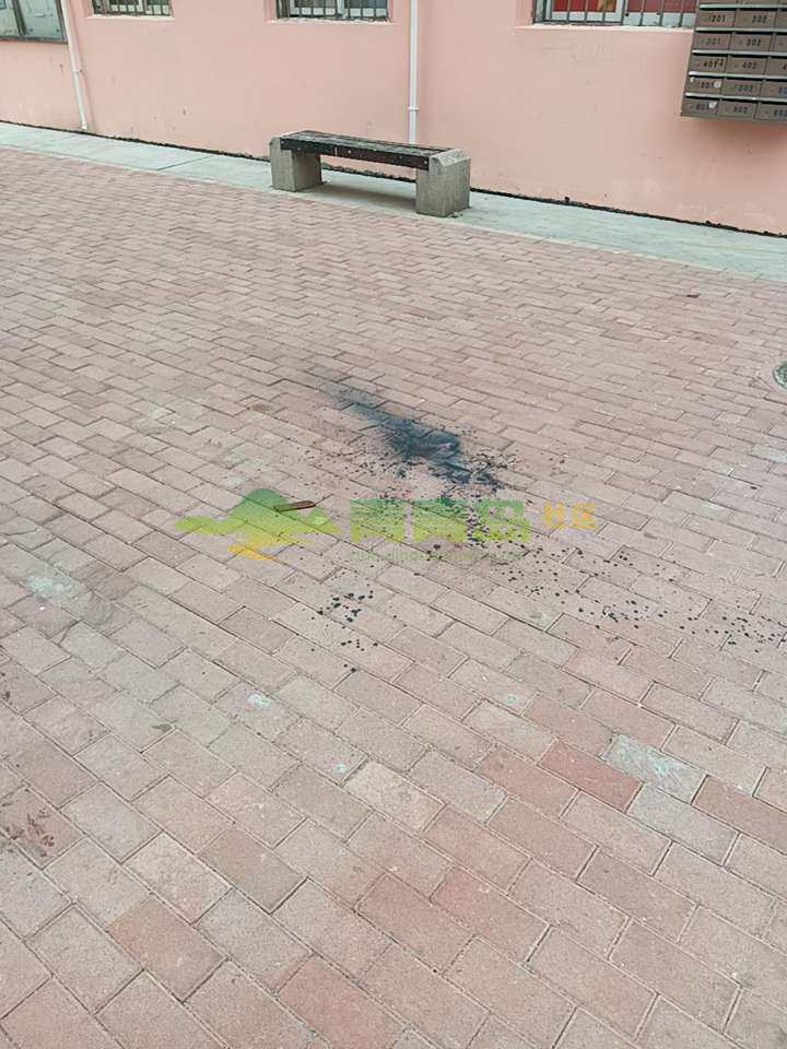 1752845737