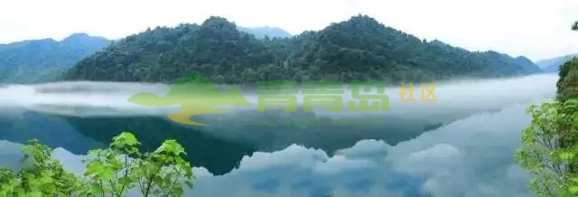 1753038954