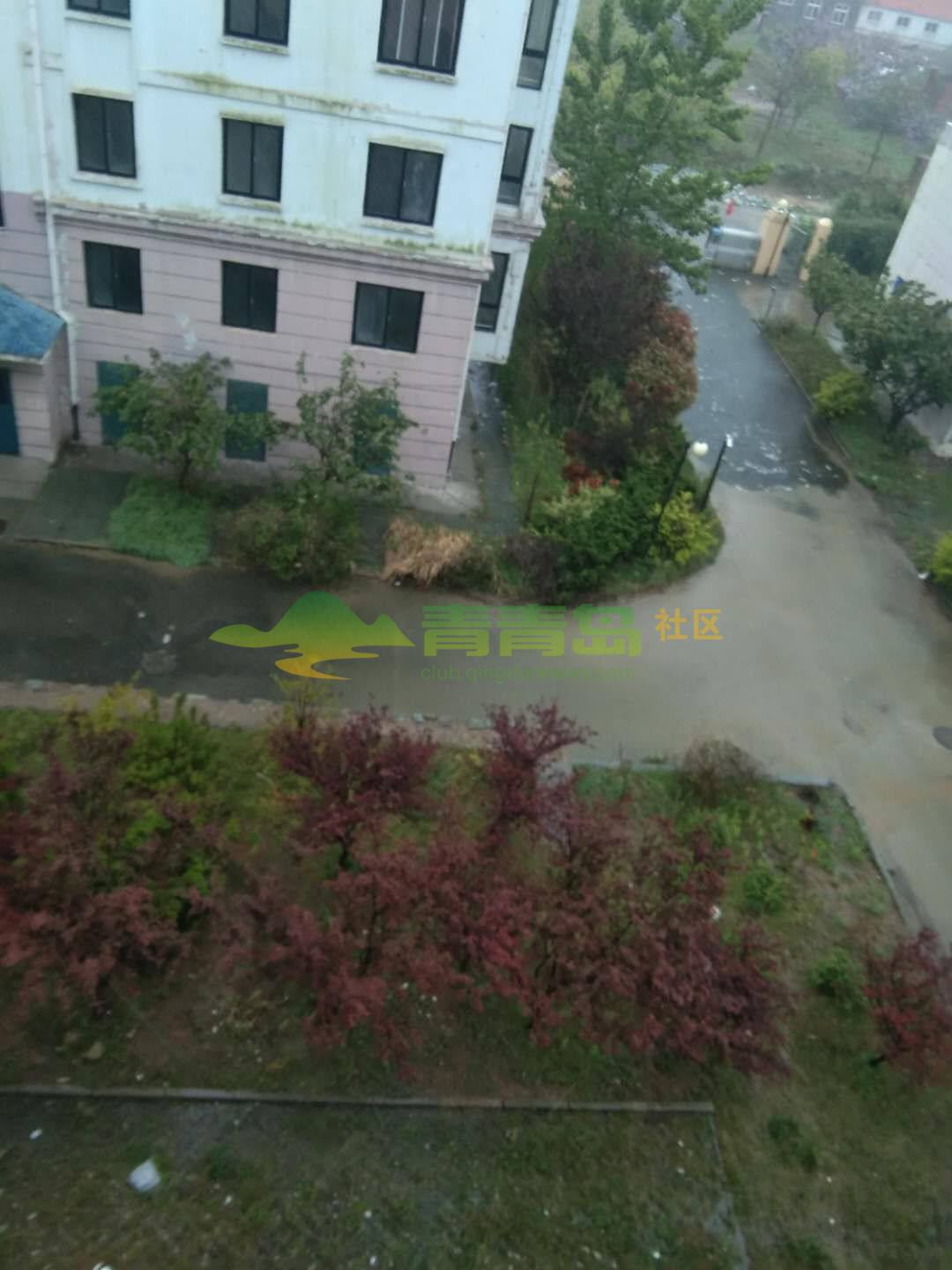 1754290514