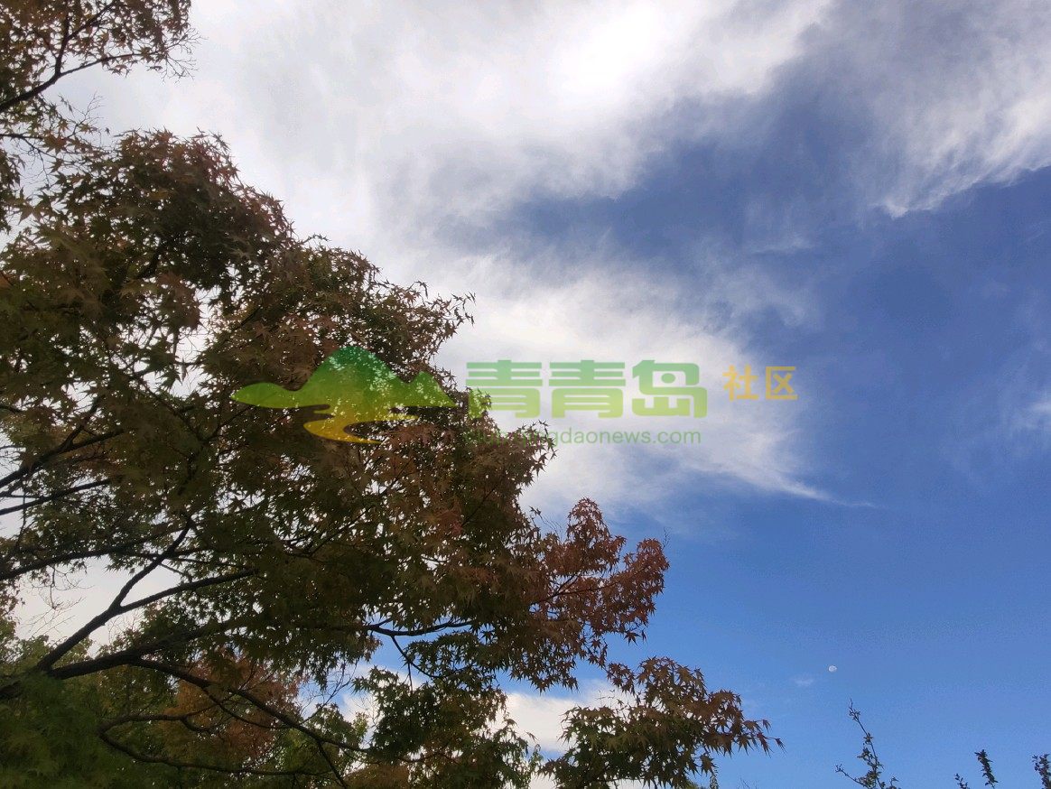 1775414843