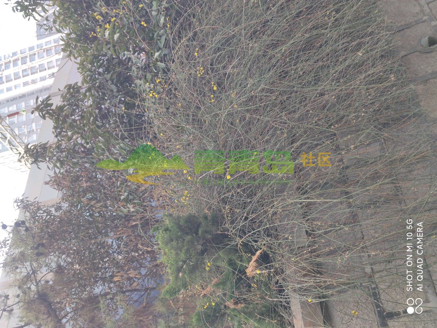 1752792882
