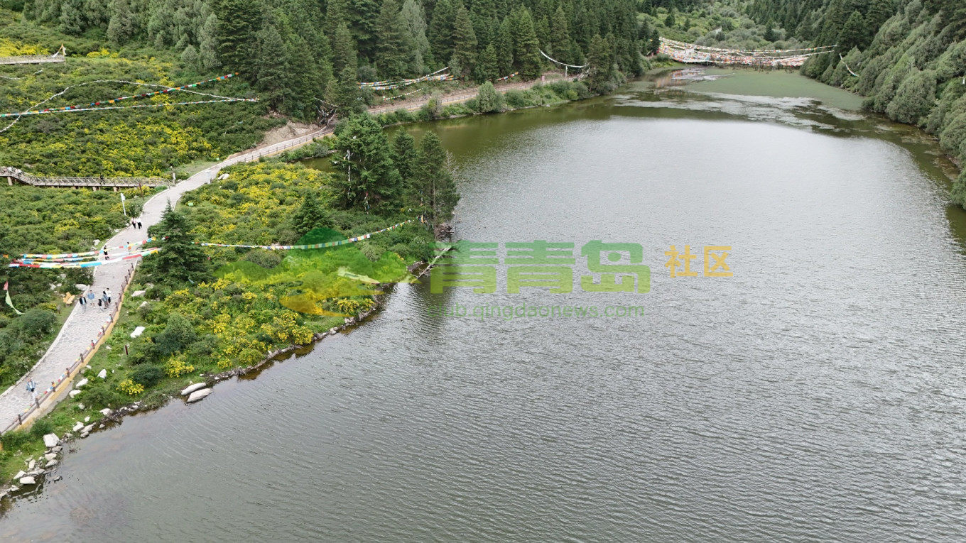 1785904308