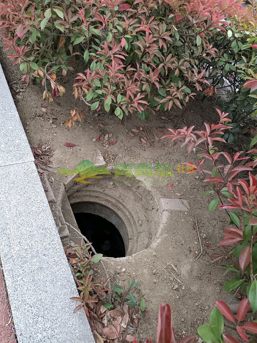 1752872494