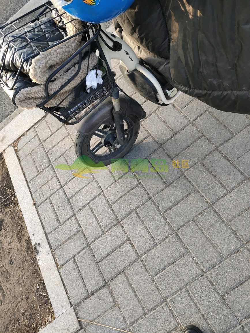 1775397459