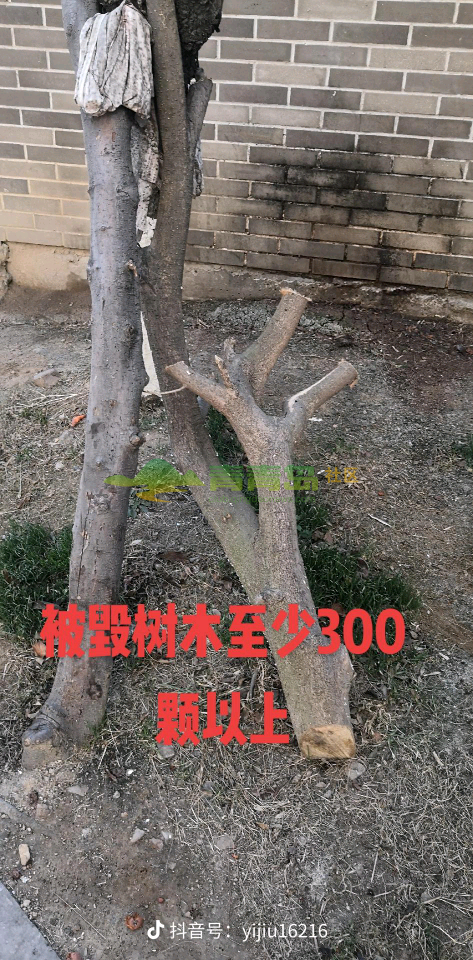 1758434546
