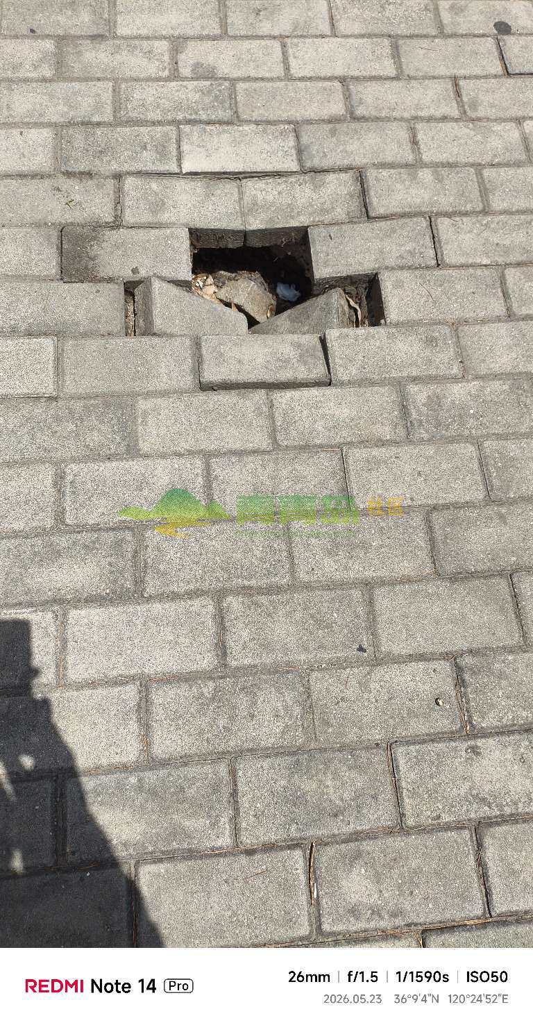 1779689839