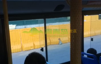 1775500255